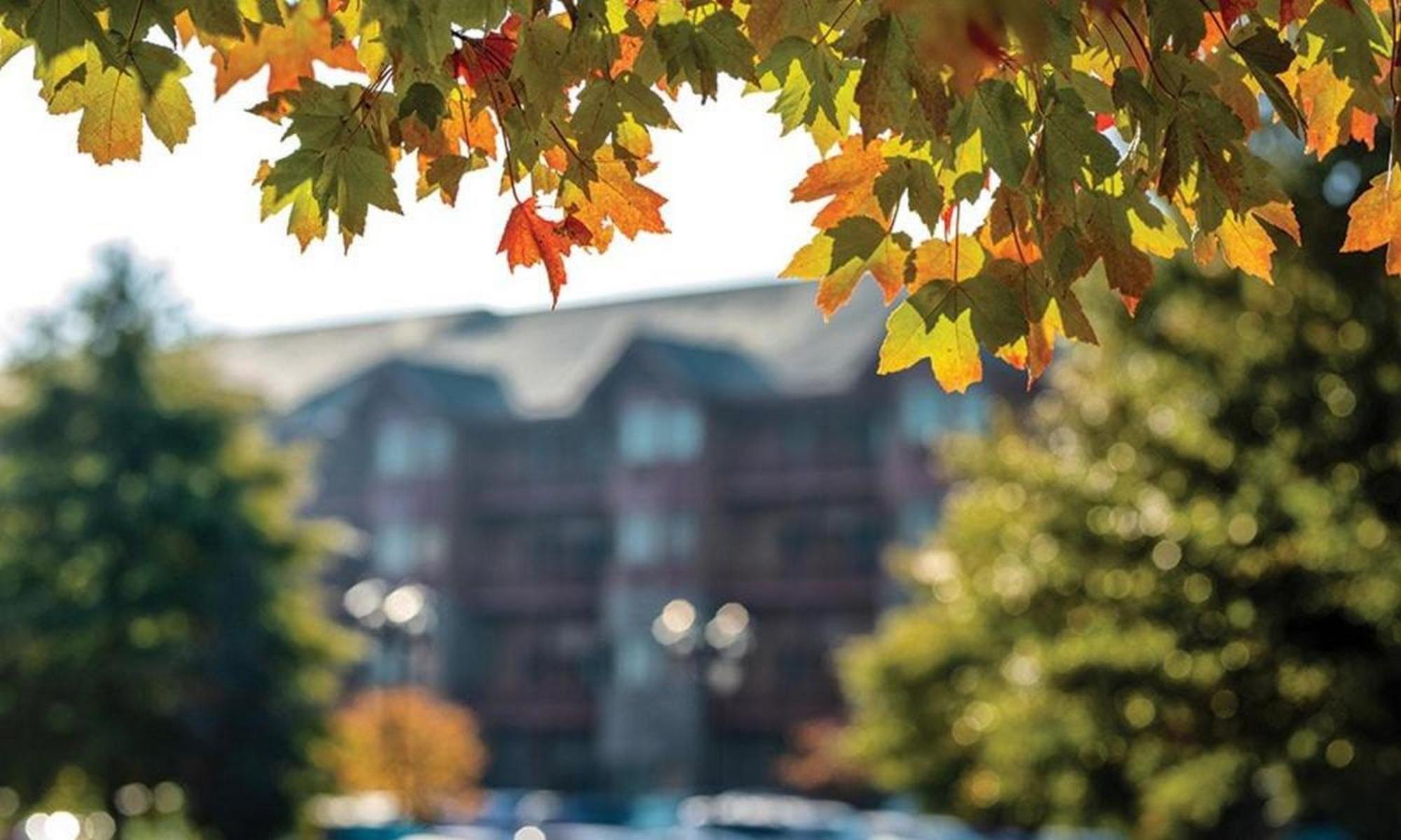 Great Smokies Lodge Sevierville By Hellovacay Εξωτερικό φωτογραφία